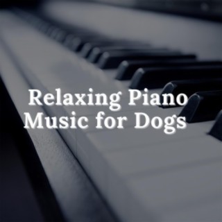 Relaxing piano music for 2024 dogs