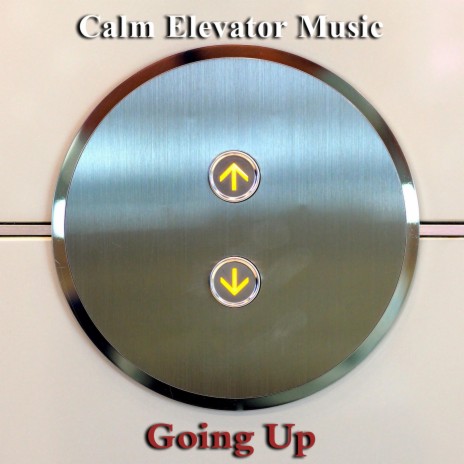 Feeling Claustrophobic in a Lift | Boomplay Music