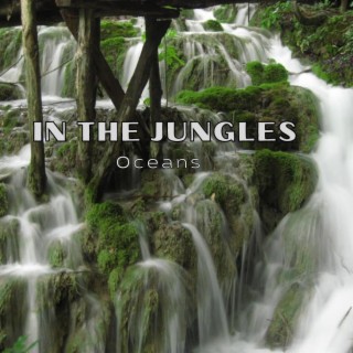 In the Jungles ft. Eddahed lyrics | Boomplay Music
