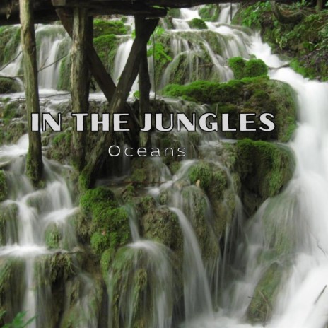 In the Jungles ft. Eddahed | Boomplay Music