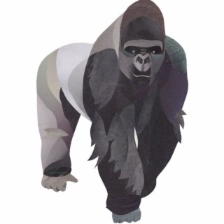 Gorillas