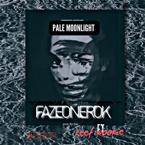 Pale moonlight | Boomplay Music