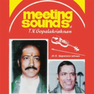 T. V. Gopalakrishnan