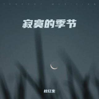 寂寞的季节 lyrics | Boomplay Music