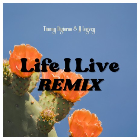 Life I Live (Remix) ft. J'VON | Boomplay Music