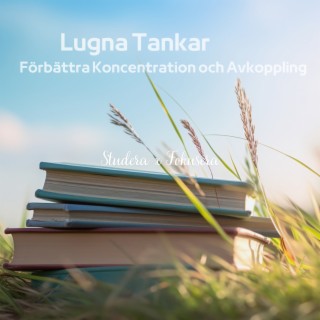 Lugna Tankar: Förbättra Koncentration och Avkoppling