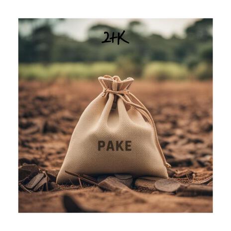 PAKE (Instrumental) | Boomplay Music