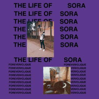 The Life Of Sora