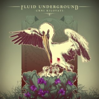 Fluid Underground