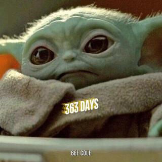 363 days