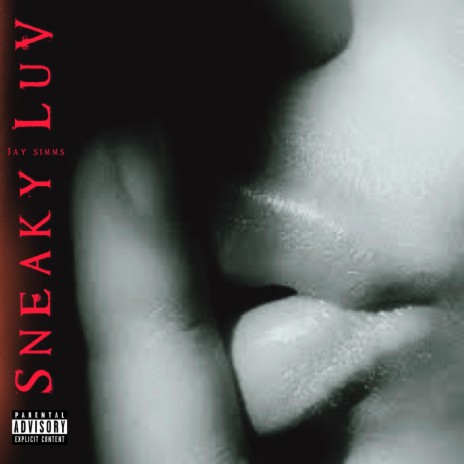 Sneaky Luv | Boomplay Music