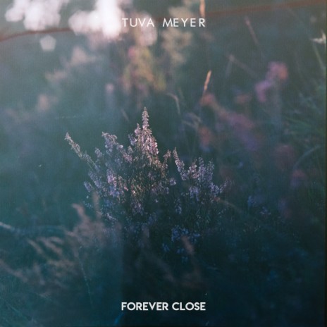 Forever close | Boomplay Music