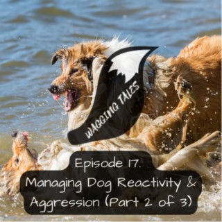 Ep 17 Managing Dog Reactivity & Aggression (Part 2)