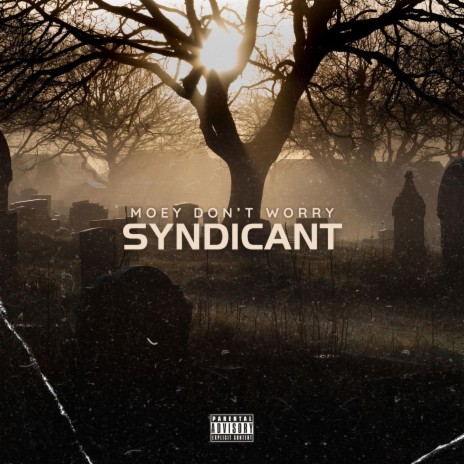 Syndicant | Boomplay Music