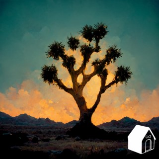 Joshua Tree