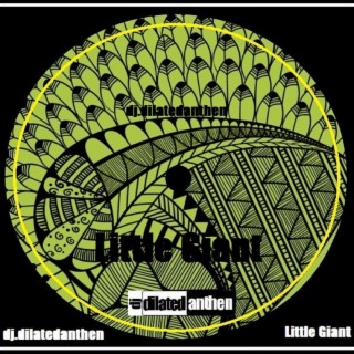 Little Giant