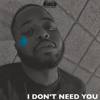 I Don't Need You lyrics | Boomplay Music