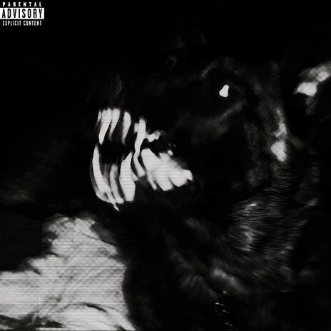 WARDOG | Boomplay Music