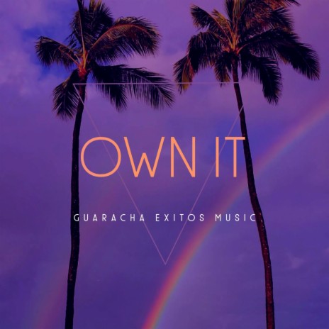 OWN IT (Dj Andres Galvis Remix) ft. Dj Andres Galvis | Boomplay Music