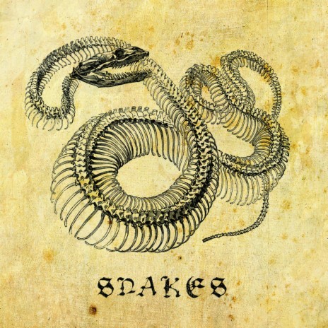 Theme for 'Snakes'