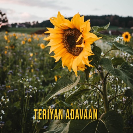 Teriyan Adavaan ft. Soumya-Prosun | Boomplay Music