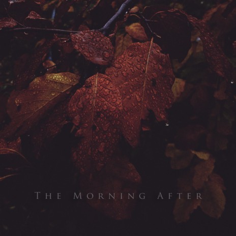 The Morning After | Boomplay Music