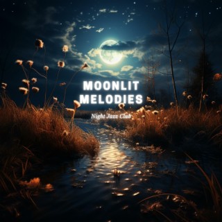 Moonlit Melodies