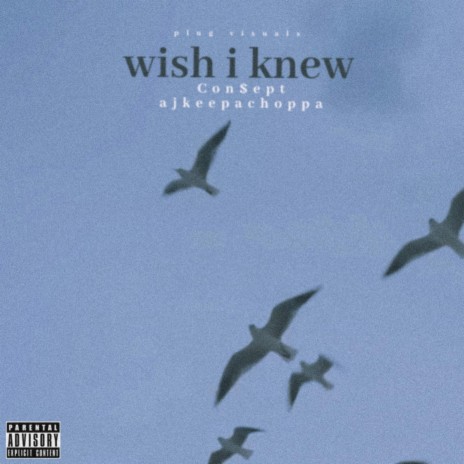 wish i knew ft. Ajkeepachoppa | Boomplay Music