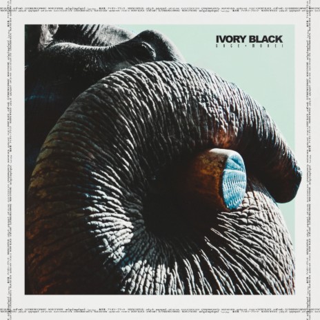 Ivory Black | Boomplay Music