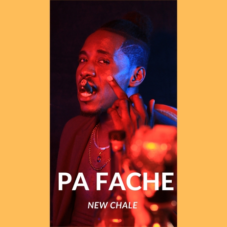 PA FACHE | Boomplay Music