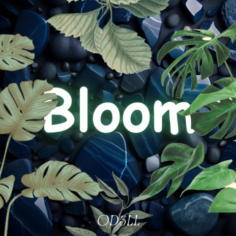 Bloom | Boomplay Music