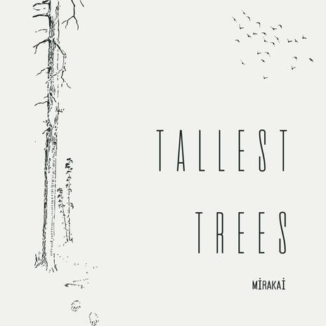 Tallest Trees | Boomplay Music