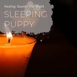 Healing Sounds for Night