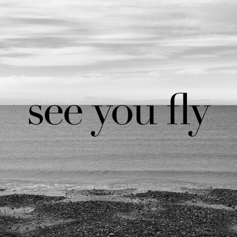 See You Fly | Boomplay Music