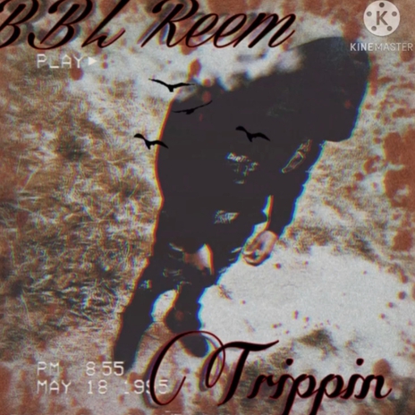 Trippin | Boomplay Music