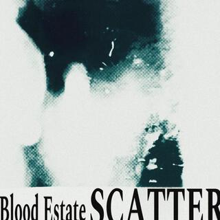 Scatter