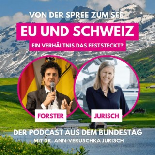 #4 EU und Schweiz ein Verhältnis das feststeckt