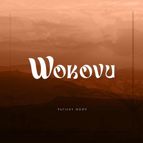 Wokovu | Boomplay Music