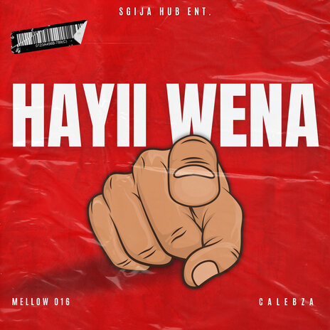 Hayii Wena ft. MELLOW 016 | Boomplay Music