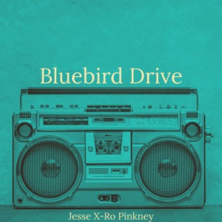 Bluebird Drive