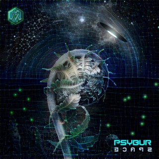 Psybur Space