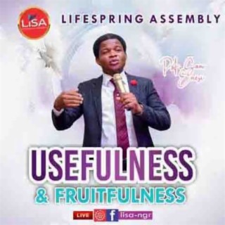 Usefulness And Fruitfulness