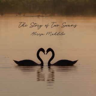 The Story of Two Swans