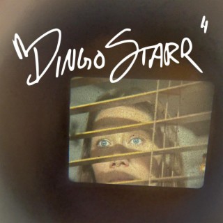Dingo Starr