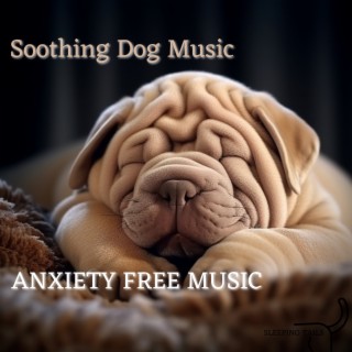 Soothing Dog Music, Anxiety Free Music