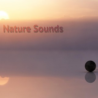 Nature Sounds