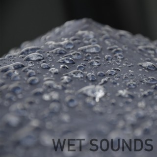 Wet Sounds