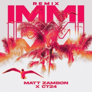 Immi (Remix)