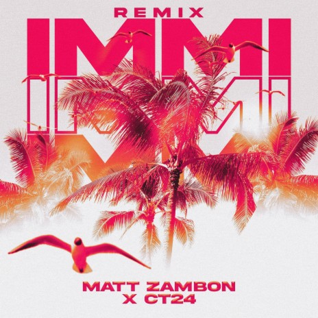 Immi (Remix) ft. Matt Zambon | Boomplay Music