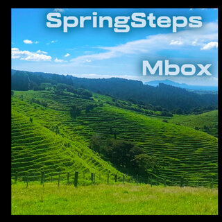 Spring Steps